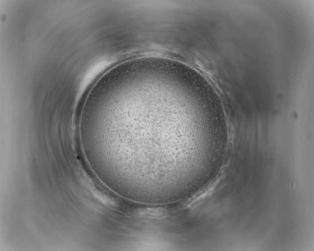 X0000087380102200705041955