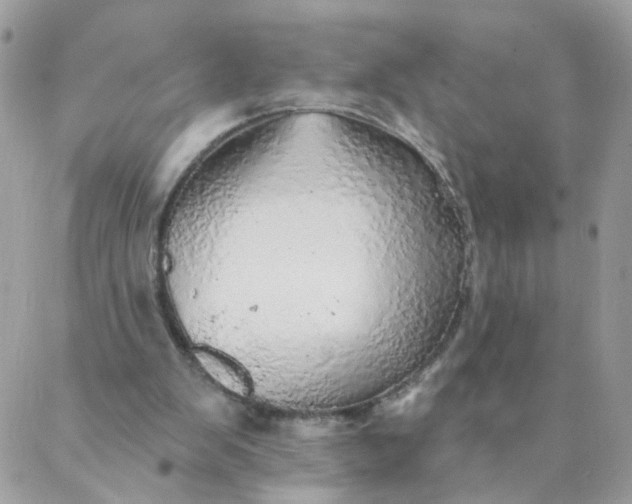 X0000087380103200705041955