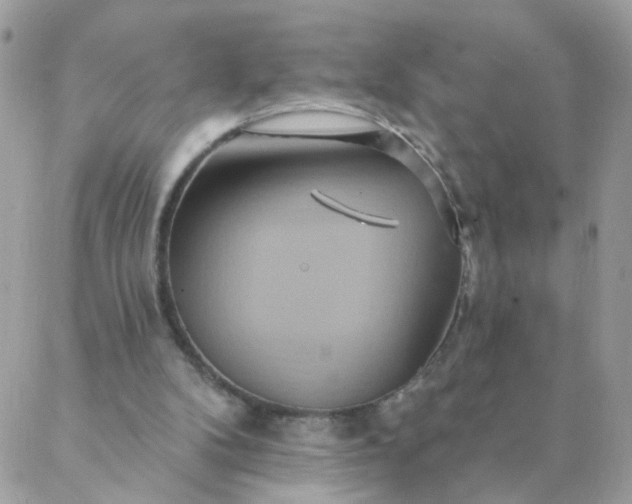 X0000087380104200705041955