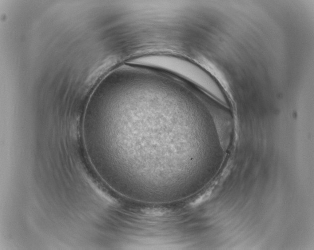 X0000087380105200705041955