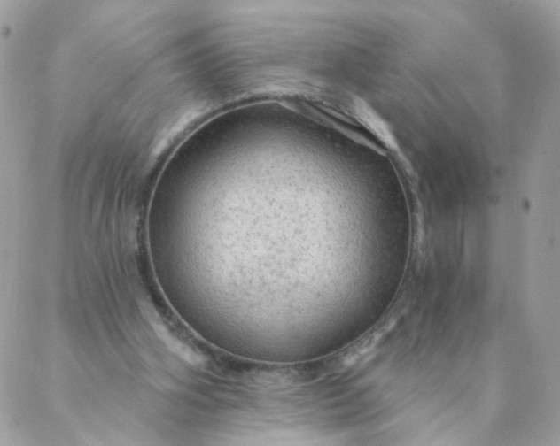 X0000087380106200705041955