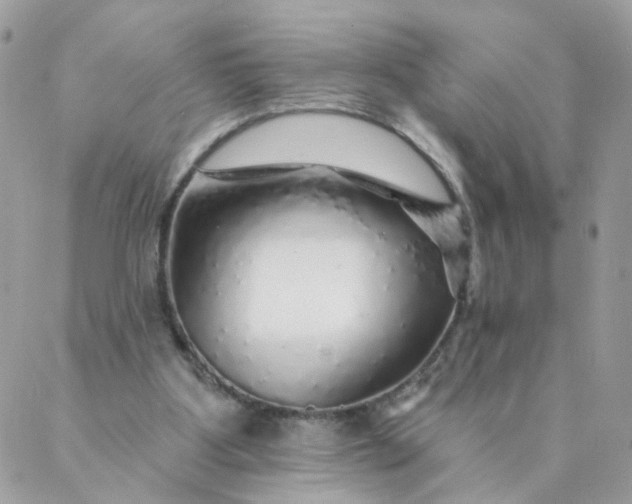 X0000087380107200705041955