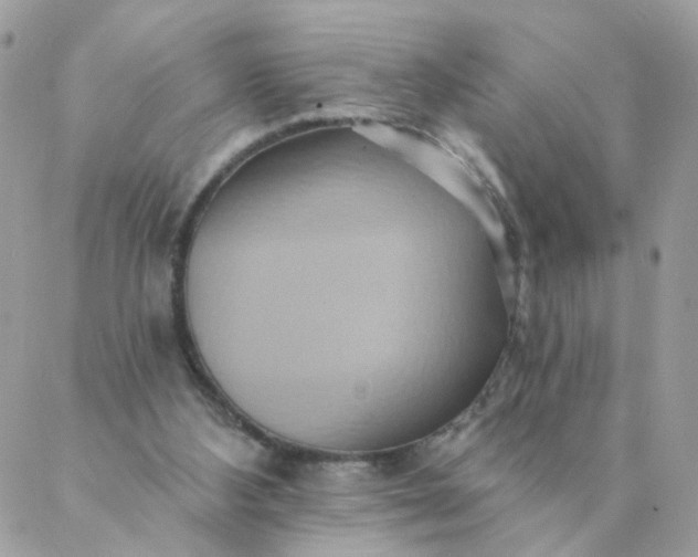 X0000087380108200705041955