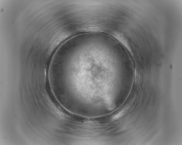 X0000087380109200705041955