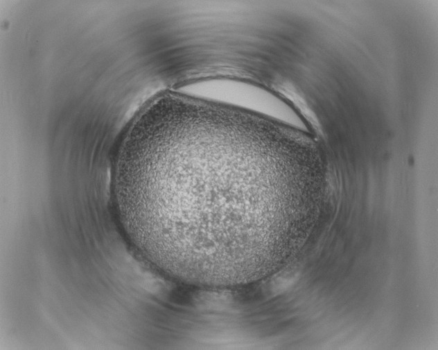 X0000087380110200705041955