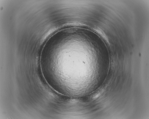 X0000087380111200705041955