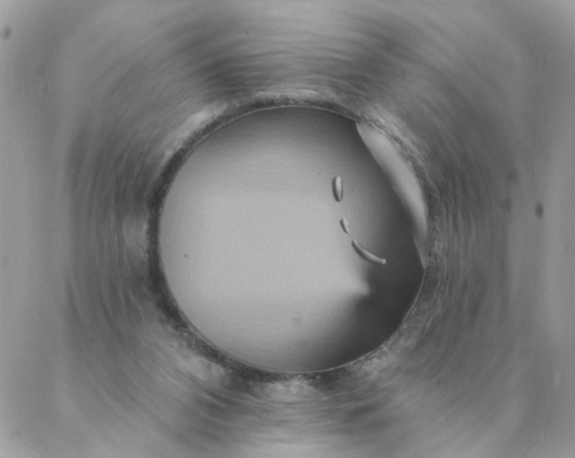 X0000087380112200705041955