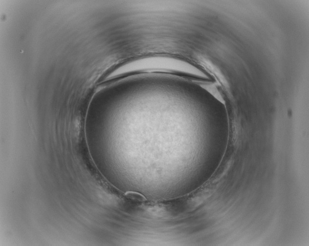 X0000087380113200705041955