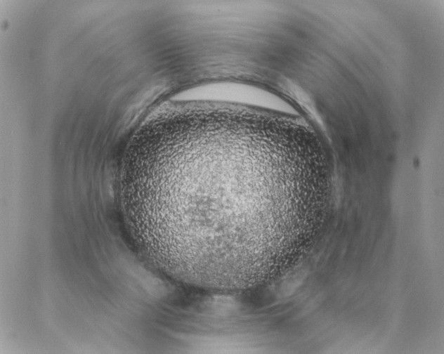 X0000087380114200705041955