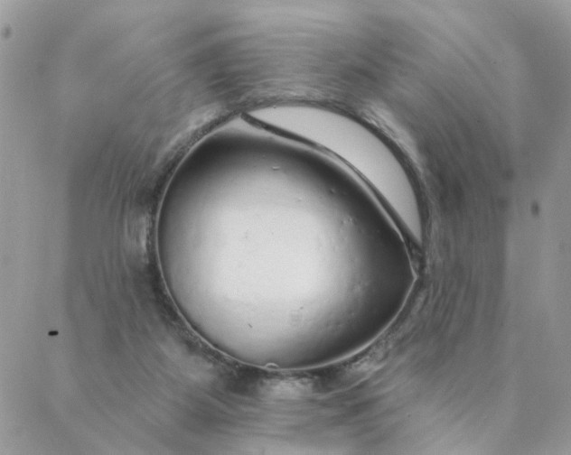 X0000087380115200705041955