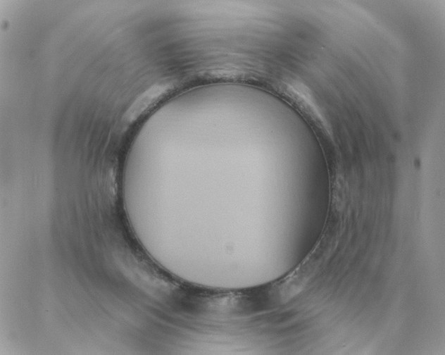 X0000087380116200705041955