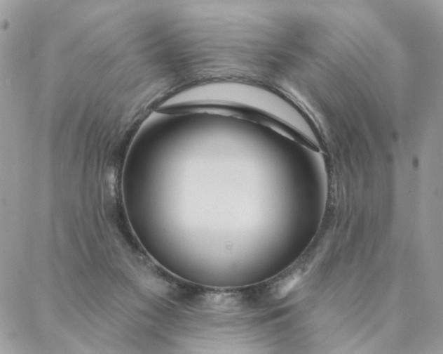 X0000087380117200705041955