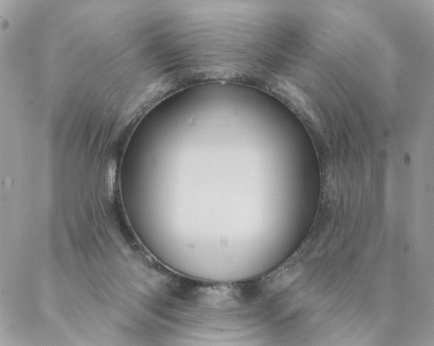 X0000087380118200705041955