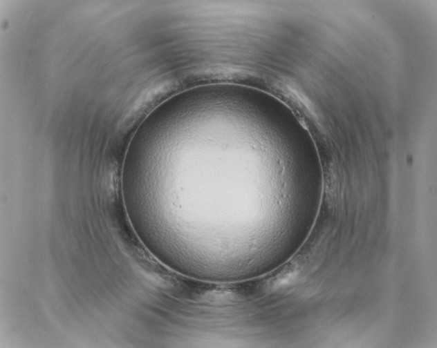 X0000087380119200705041955