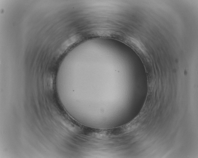 X0000087380120200705041955