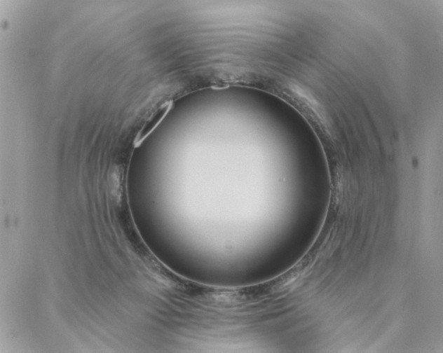 X0000087380121200705041955