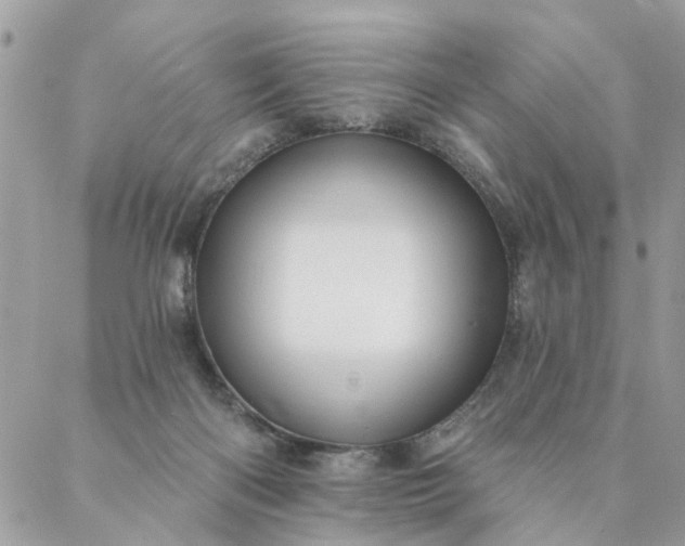 X0000087380122200705041955