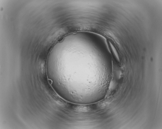 X0000087380123200705041955