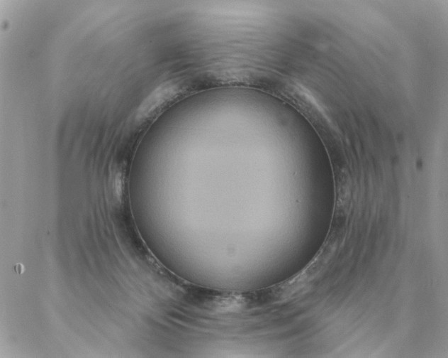 X0000087380124200705041955