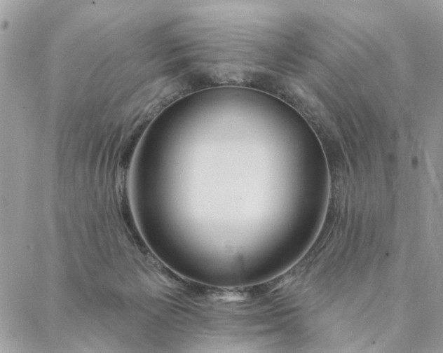 X0000087380125200705041955