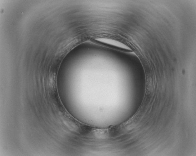 X0000087380126200705041955