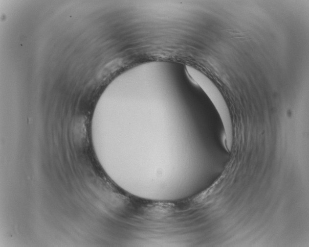 X0000087380128200705041955