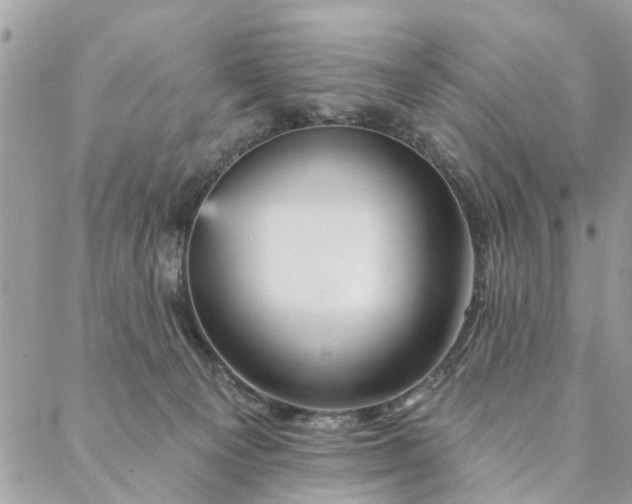 X0000087380129200705041955