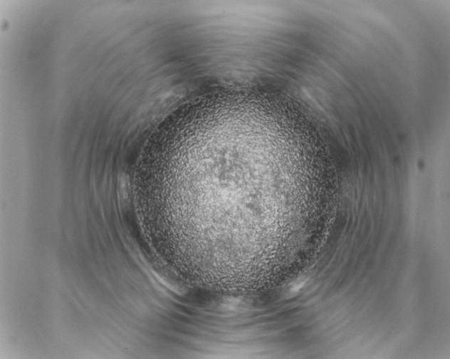 X0000087380130200705041955