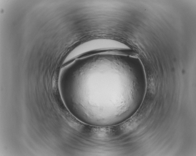 X0000087380131200705041955