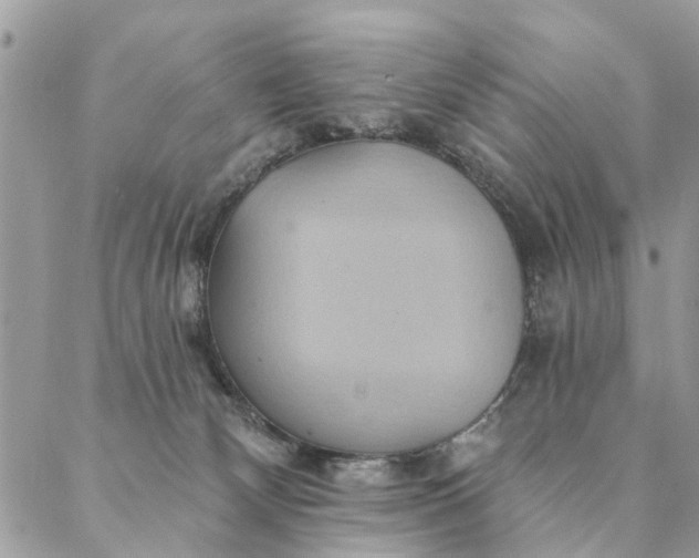 X0000087380132200705041955