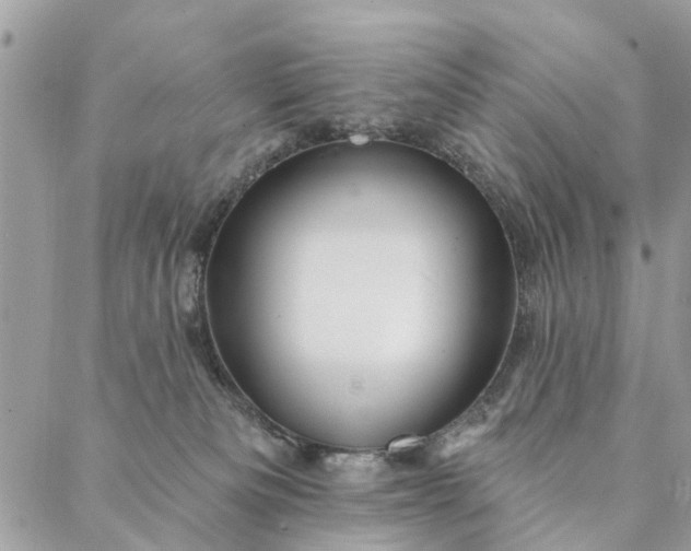 X0000087380133200705041955