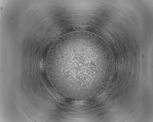 X0000087380134200705041955