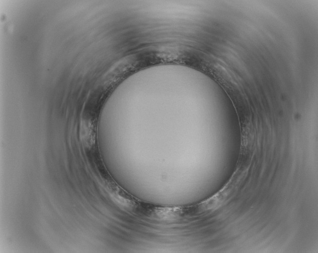 X0000087380136200705041955