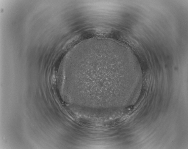 X0000087380137200705041955