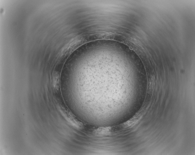 X0000087380138200705041955