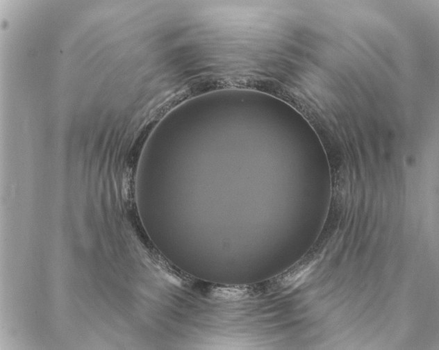 X0000087380139200705041955