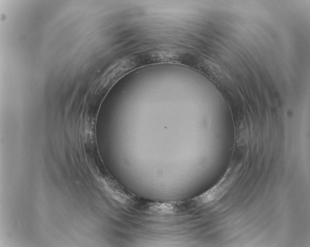 X0000087380140200705041955