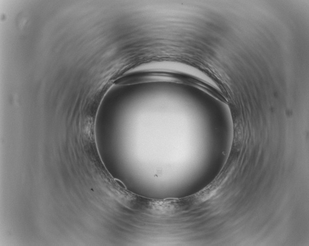 X0000087380141200705041955