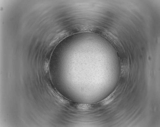 X0000087380142200705041955