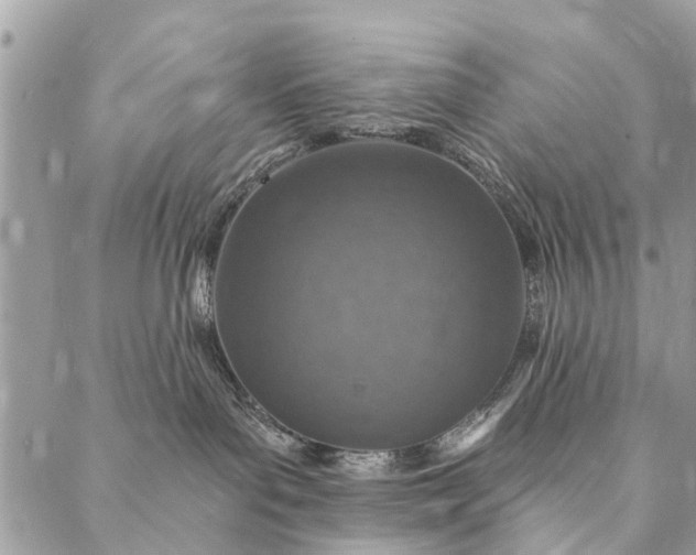 X0000087380143200705041955