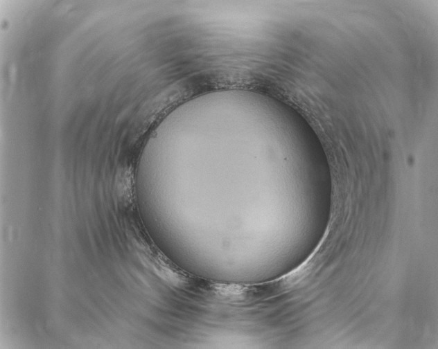 X0000087380144200705041955