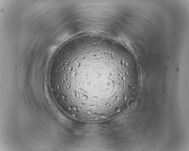 X0000087380145200705041954