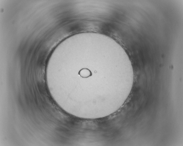 X0000087380146200705041954