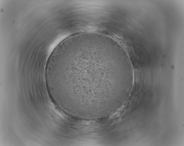 X0000087380147200705041954