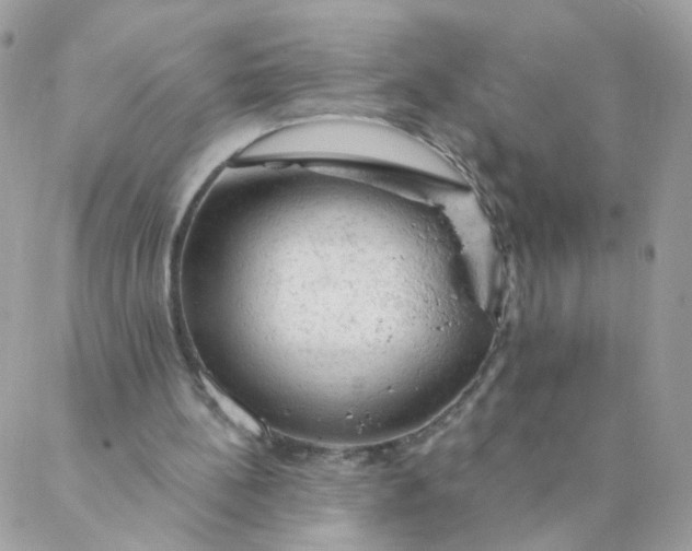 X0000087380148200705041954