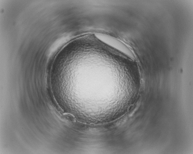 X0000087380149200705041954