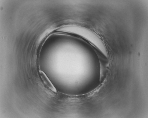 X0000087380150200705041954