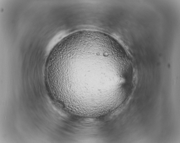 X0000087380151200705041954