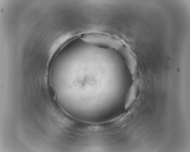 X0000087380152200705041954