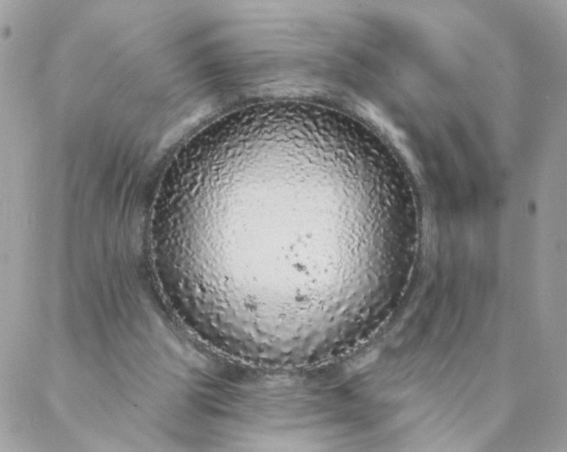 X0000087380153200705041954